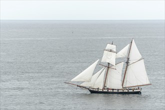 Large old traditional sailing boat in a bay on the Atlantic. Camaret sur mer, Crozon, Finistere,