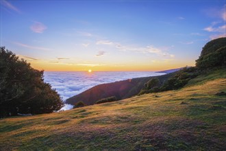 Sunrise above clouds and green hills at Fanal mountain, Madeira island, Portugal, Europe