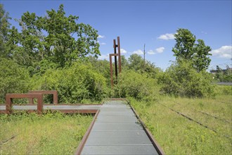 Stegweg, Schöneberger Südgelände Nature Park, Prellerweg, Schöneberg, Berlin, Germany, Europe