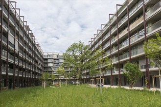 Modern architecture, co-operative, housing co-operative, Westfeld, Basel, Canton of Basel-Stadt,