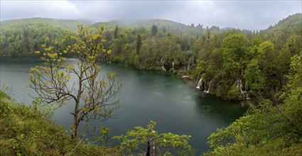 Plitvice Lakes National Park, Plitvicka Jezera, Lika-Senj, Croatia, Europe