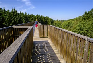 Sky ladder on the Schremser Hochmoor, municipality of Schrems, Waldviertel, Lower Austria, Austria,