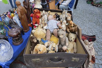 A suitcase full of nostalgic teddy bears, at a flea market, Schärding, Lower Austria, Austria,