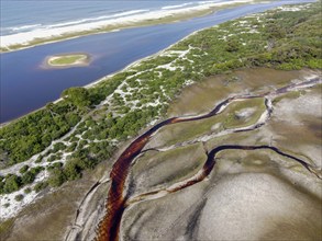 Landscape iLoango National Park, Parc National de Loango, Atlantic Ocean, aerial view,