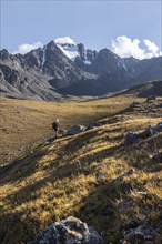 Hiker in a mountain valley in the Tien Shan Mountains, near Altyn Arashan, Kyrgyzstan, Asia