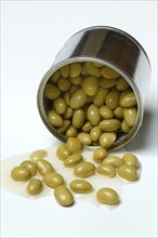 Edamame, unripe soya beans in tins, tinned