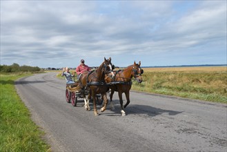 Horse-drawn carriage on a country road, surrounded by meadows and under a cloudy sky, Cherrueix,