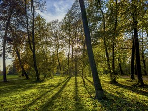 Autumn atmosphere in the English Garden, Munich, Bavaria, Germany, Europe