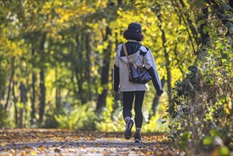 A walk through a colourful autumn forest. A young woman on a circular path on the banks of the