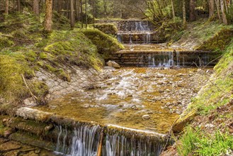 A small river flows through a forest with moss-covered banks and stones, Schlipfgrubalm