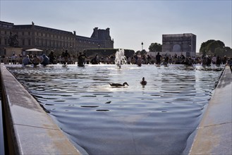 A pair of ducks swim in the fountain, surrounded by historic buildings and many visitors, Paris