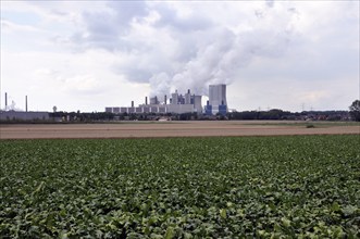 Niederaußem power plant, a base-load power plant operated by RWE PowerAG using lignite in