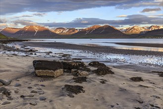 Fjord, low tide, stones, mountains, evening light, cloudy mood, Thingeyri, Westfjords, Iceland,