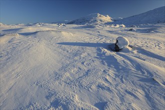 Snowy mountain landscape, evening light, sunny, snow drifts, wind, Björnfjell, Norway, Europe