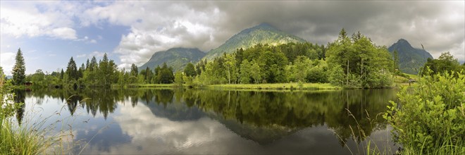 Water reflection in the moor pond, behind it the Schattenberg, near Oberstdorf, Oberallgäu, Allgäu,