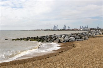 Rock armour groynes on beach managing longshore drift, Felixstowe, Suffolk, England, UK