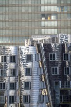 Düsseldorf Media Harbour, Gehry buildings, facade of the Stadttor building, North Rhine-Westphalia,