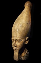 Head of a colossal statue of Ramses II, from the exhibition: Ramses the Great and the Gold of the