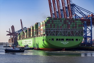 Container ship Ever Gifted, arriving at the port of Hamburg, Waltershofer Hafen, HHLA Container