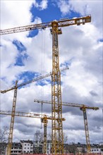 Construction cranes, on a large construction site in Düsseldorf, construction of condominium in the