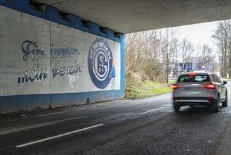 Wall murals, fan paintings of the Bundesliga club FC Schalke 04, at the Schalke stadium, Veltins