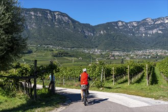 Cycle path through the wine-growing areas in South Tyrol, near Kaltern on the wine route, shortly