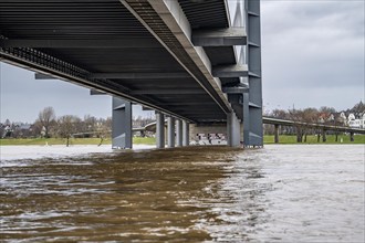 Rhine knee bridge, high water of the Rhine near Düsseldorf, North Rhine-Westphalia, Germany, Europe