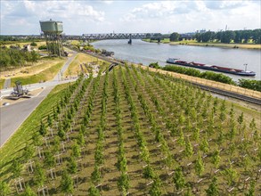 The Rheinpark in Duisburg-Hochfeld, on the Rhine, over 150 years a site for heavy industry, now a