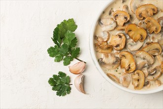 Champignons in creamy garlic sauce, with herbs and spices, gravy, sauce, no people