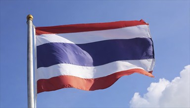 Flags, the national flag of Thailand flutters in the wind