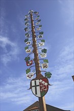 Guild tree of the winegrowers on the market square of Hammelburg, Lower Franconia, Bavaria,