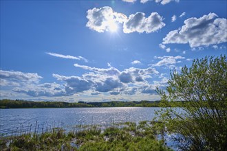 Ober- Moosersee surrounded by green fields and trees under a partly cloudy blue sky, spring,