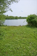 A peaceful lake surrounded by trees, with clear water and blue sky in spring, Kinzigaue, Erlensee,