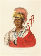 Teh-Ro-Hon, An Ioway Warrior (1838), Native American, Historical Native American tribes from North