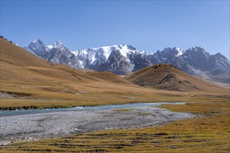 Mountain landscape with yellow meadows, Kol Suu River and mountain peaks with glaciers, Keltan