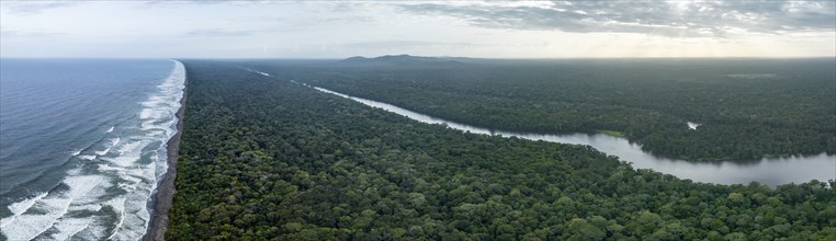 Aerial view, beach and sea, coast with rainforest, Tortuguero National Park, Costa Rica, Central