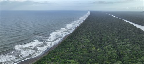 Aerial view, beach and sea, coast with rainforest, Tortuguero National Park, Costa Rica, Central