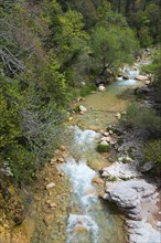 A bubbling torrent flows through a natural forest with visible boulders, River Neda, Peloponnese,