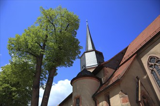 Protestant town church, Schlitz, small town in the east of the Vogelsberg district in central