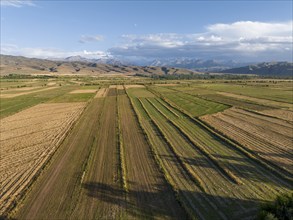 Aerial view, Cultivated fields, Agriculture, Landscape, Kyrgyzstan, Asia