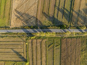 Aerial view, Cultivated fields, Agriculture, Landscape, Kyrgyzstan, Asia