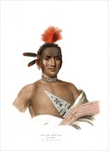 American Indian, Native American, Moa-Na-Hon-Ga. Great Walker, Chief of the Ioway tribe, United