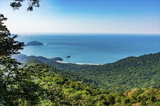 Castelhanos Beach seen from the middle of the forest on the island of Ilhabela on the north coast