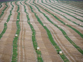 Straw bales on a harvested field, drone photo. Gotha, Thuringia, Germany, Europe