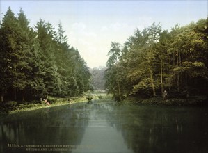 In the Zeister Forest, Utrecht, Holland, c. 1895, Historic, digitally restored reproduction from a