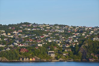 Residential neighbourhood on a wooded hill by the North Sea, under a blue sky, Bergen, Vestland,