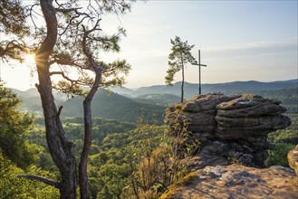 Sandstone rock with pine tree and summit cross, Rötzenfelsen, sunrise, Gossersweiler-Stein,