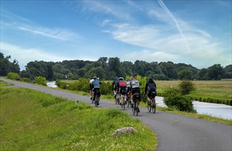 Cyclist on a cycle path by the river, landscape in the Lower Oder Valley National Park, Criewen,