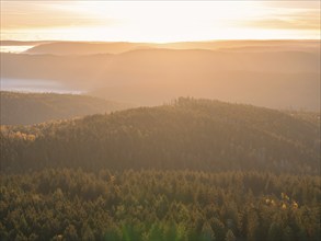 Warm sunlight over wooded hills at sunrise, calm atmosphere, Black Forest, Germany, Europe