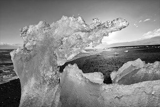 Backlit block of ice, b&w image, beach at glacier lagoon Jökulsarlon, Breiðamerkursandur, south